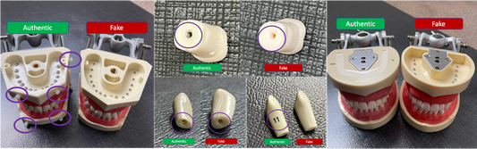 Difference between Authentic and Fake Typodonts and Teeth