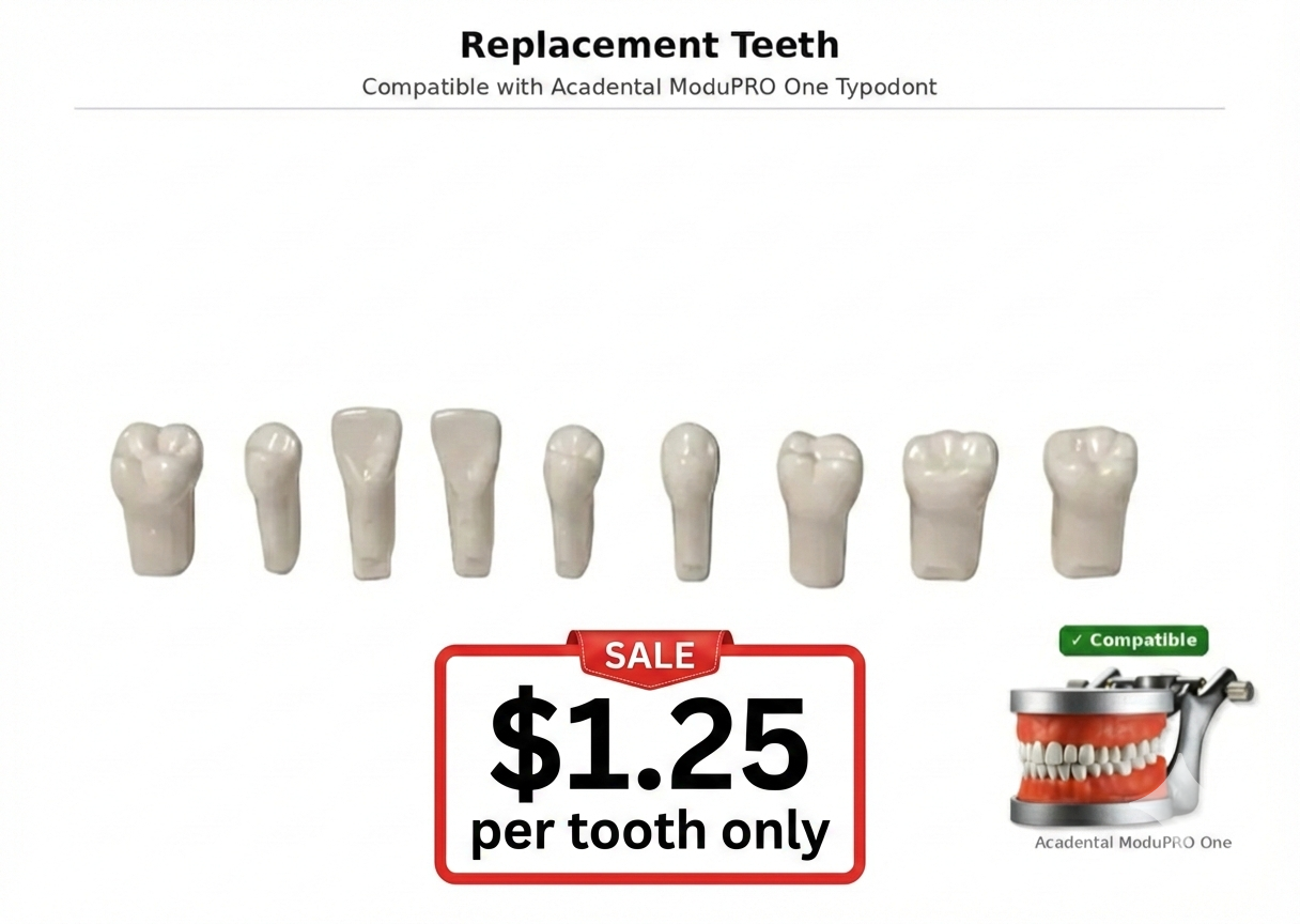 Replacement Teeth, Compatible with Acadental ModuPRO One Typodont