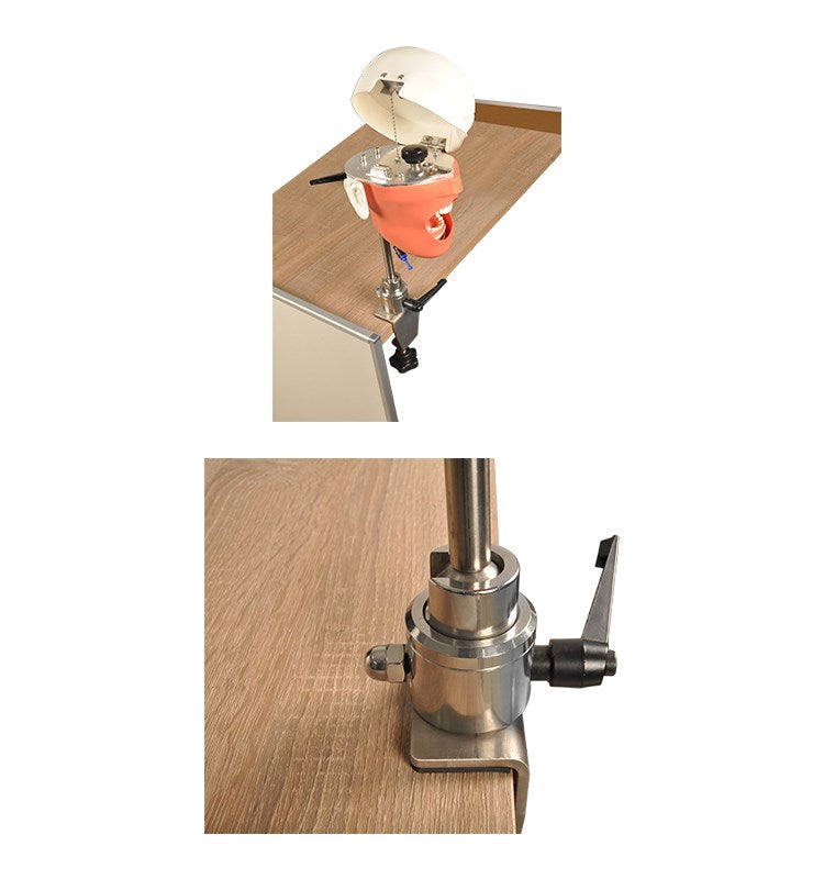 Dental Manikin System for Dental Chair or Bench