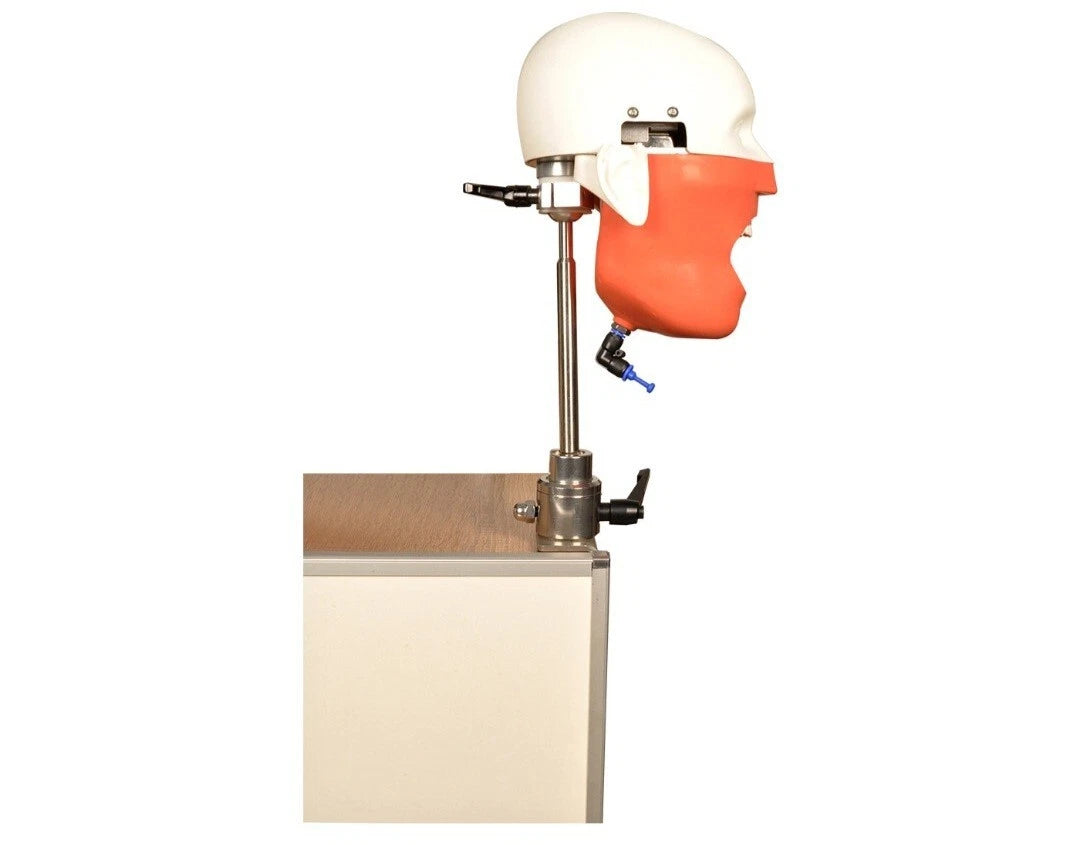 Dental Manikin System for Dental Chair or Bench