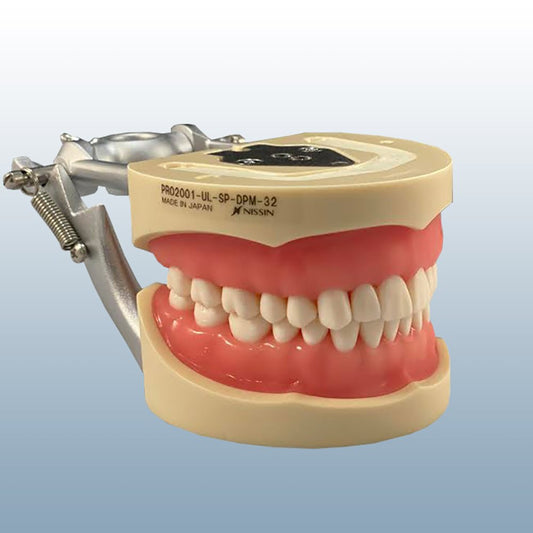 Kilgore Typodont 200 Series (Authentic)