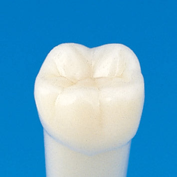 Kilgore (Nissin) 200 Series Replacement Teeth