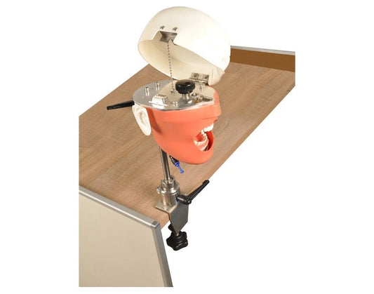 Dental Manikin System for Dental Chair or Bench