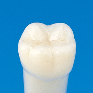 Kilgore (Nissin) 200 Series Replacement Teeth